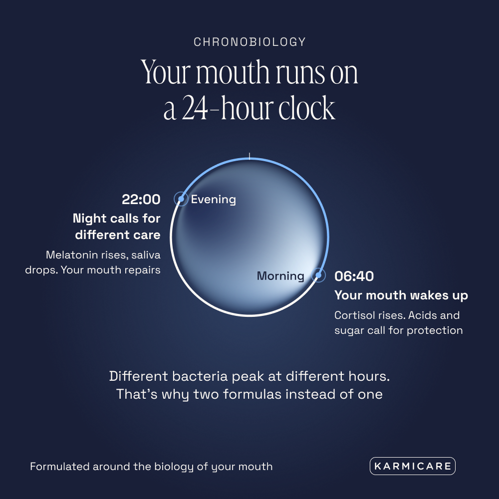 Karmicare chronobiology infographic: your mouth runs on a 24-hour clock, with morning care at 06:40 and evening care at 22:00